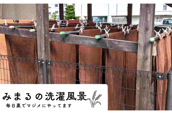 鍼灸マッサージ屋さんの洗濯風景