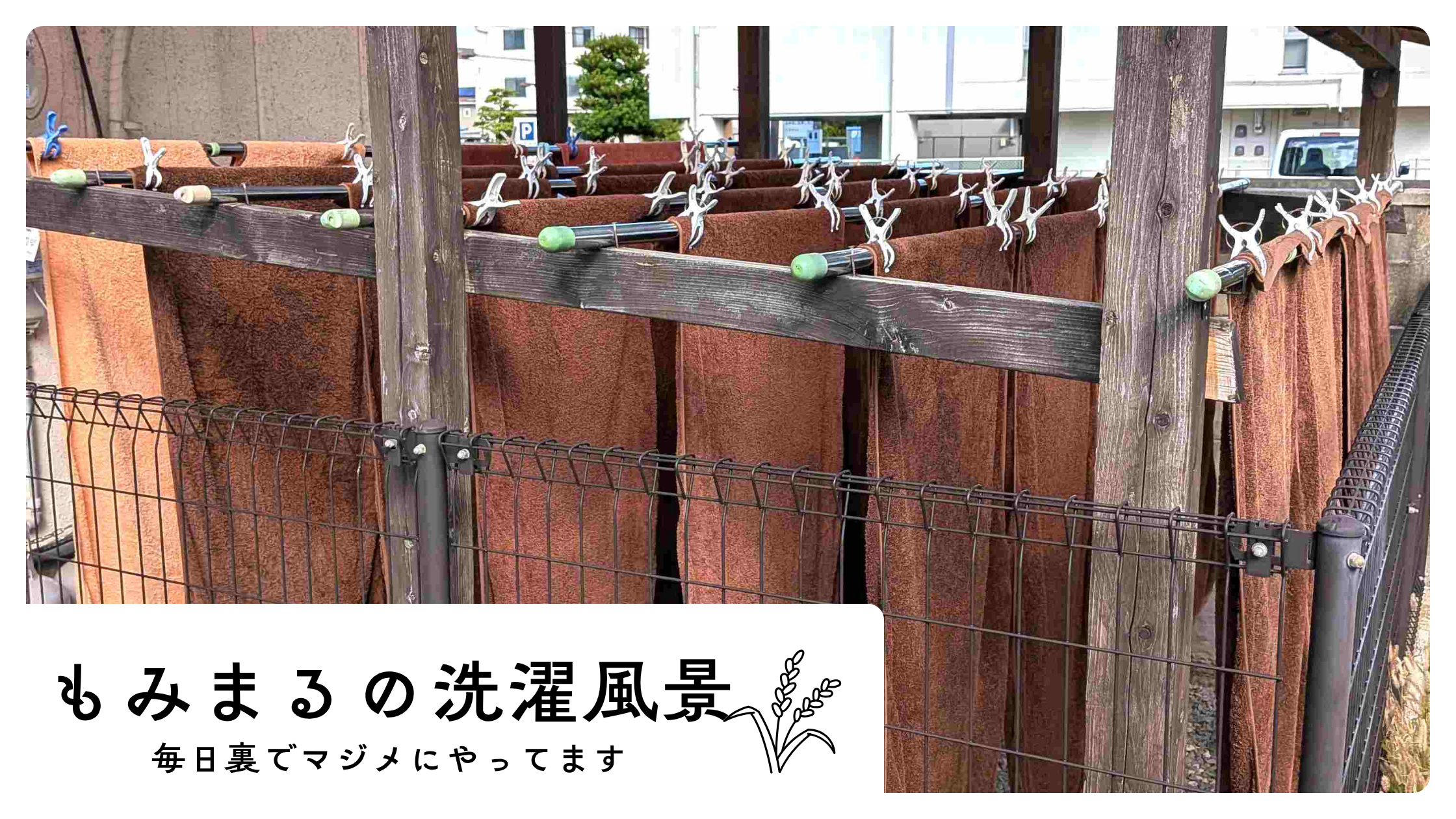 鍼灸マッサージ屋さんの洗濯風景